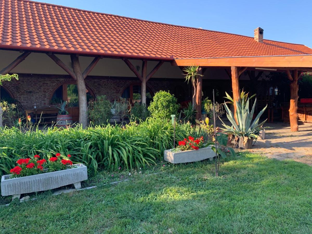 Vila Hegedues Major Hortobágy Exteriér fotografie